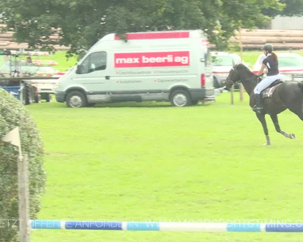 Reitturnier Aadorf 2019