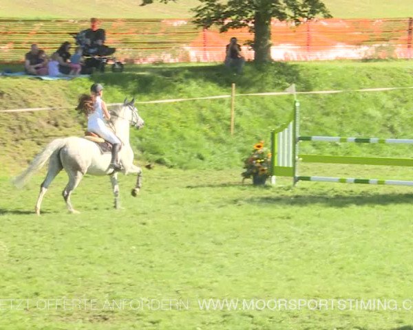 Reitturnier Aadorf 2019