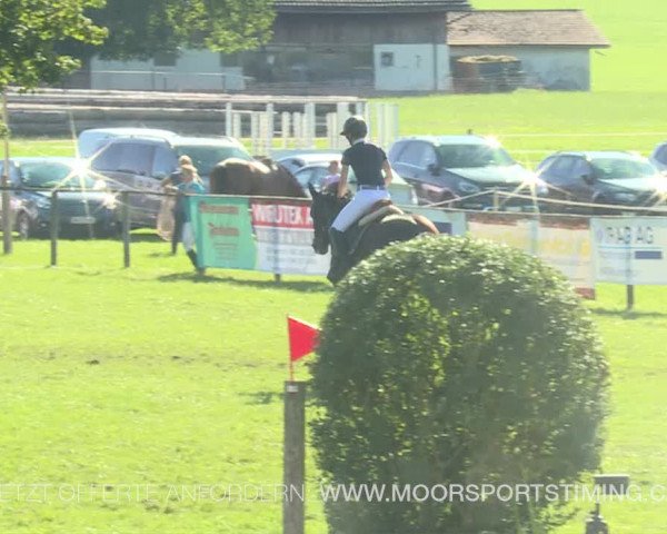 Reitturnier Aadorf 2019