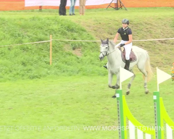 Reitturnier Aadorf 2019