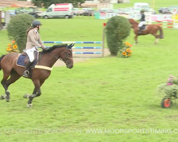 Reitturnier Aadorf 2019