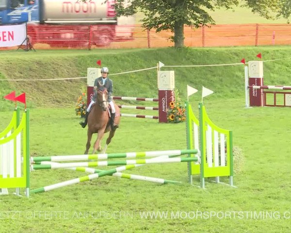 Reitturnier Aadorf 2019
