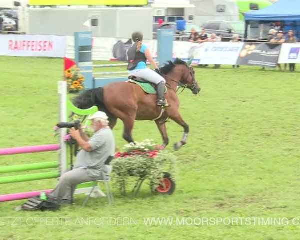 Reitturnier Aadorf 2019