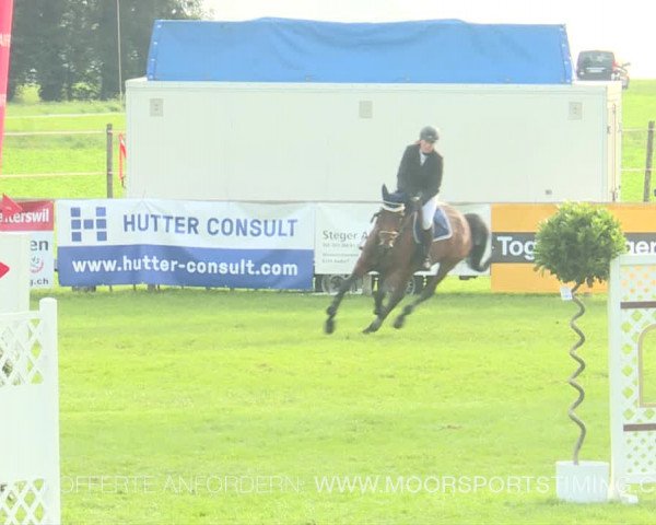 Reitturnier Aadorf 2019