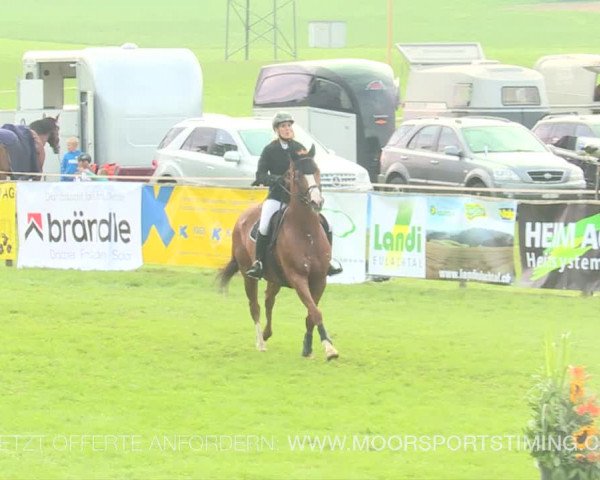 Reitturnier Aadorf 2019