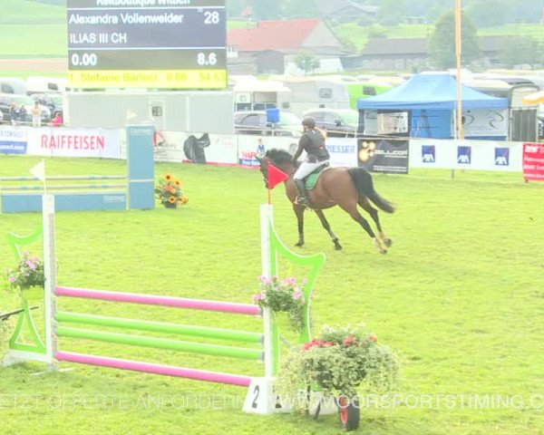 Reitturnier Aadorf 2019