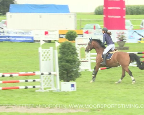 Reitturnier Aadorf 2019