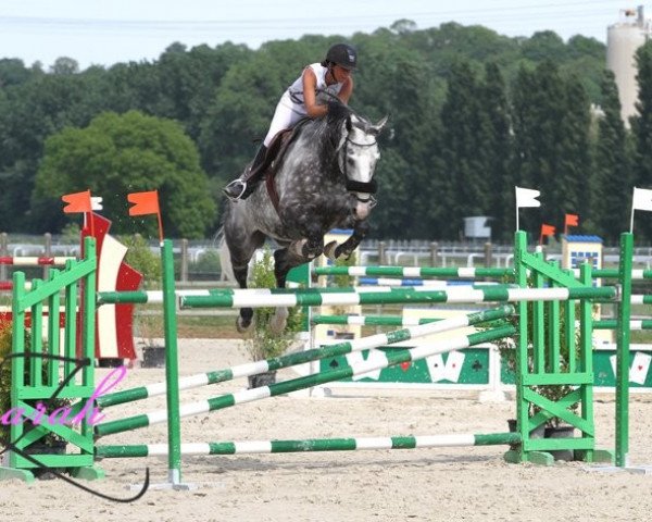 jumper Opium D'Auvers (Selle Français, 2002, from Gabyscion)