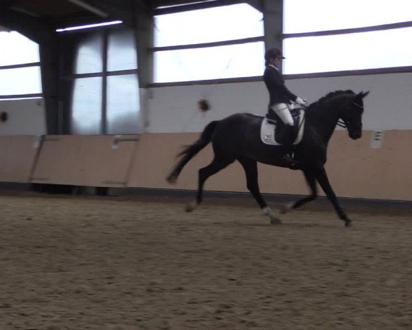 Reitturnier Datteln 2019