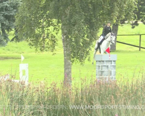 Reitturnier Aadorf 2019