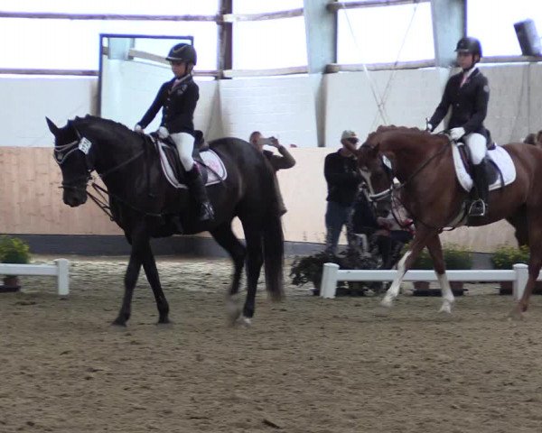 Reitturnier Datteln 2019