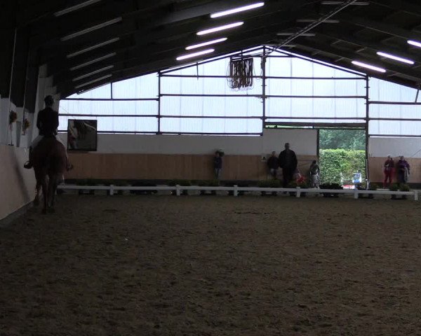 Reitturnier Datteln 2019