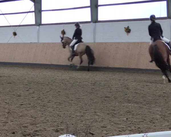 Reitturnier Datteln 2019