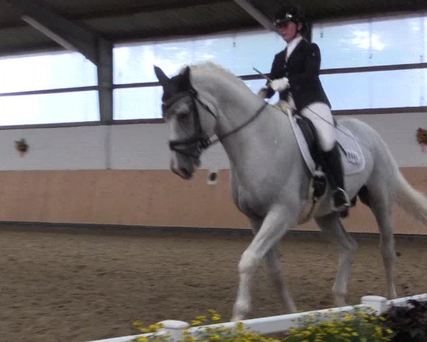 Reitturnier Datteln 2019