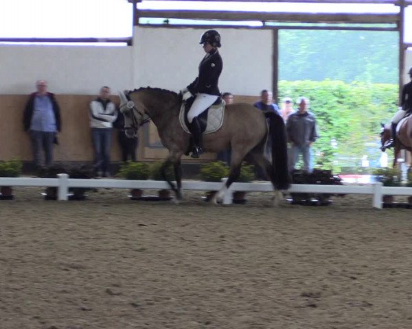 Reitturnier Datteln 2019