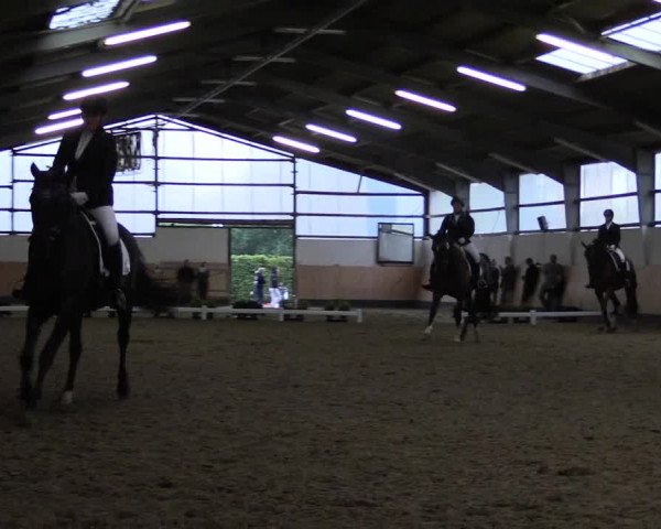 Reitturnier Datteln 2019