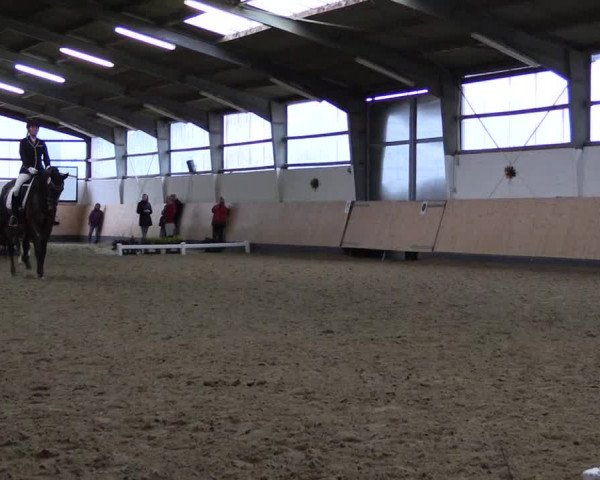 Reitturnier Datteln 2019