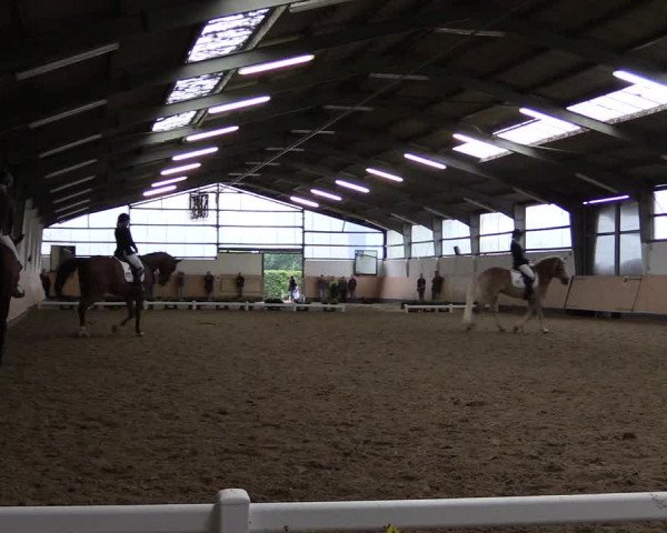 Reitturnier Datteln 2019