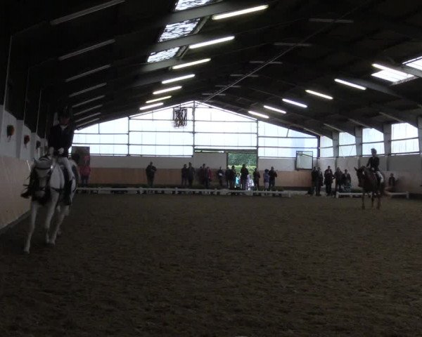 Reitturnier Datteln 2019