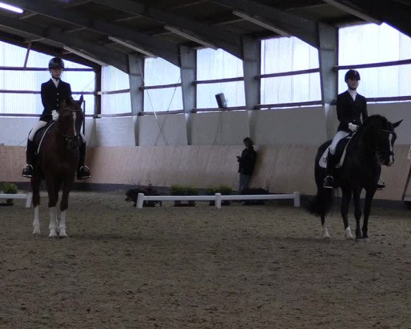 Reitturnier Datteln 2019