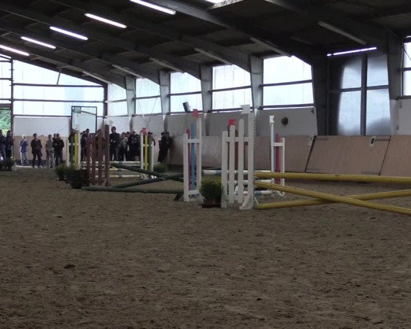 Reitturnier Datteln 2019