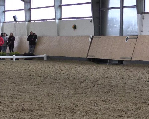 Reitturnier Datteln 2019