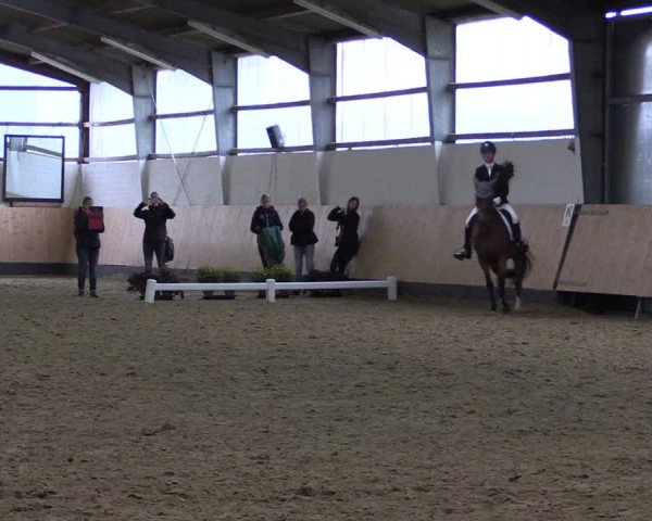 Reitturnier Datteln 2019