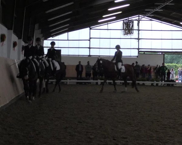 Reitturnier Datteln 2019