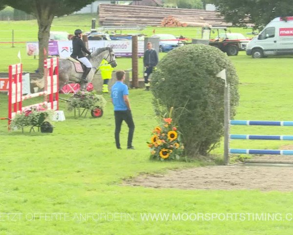 Reitturnier Aadorf 2019