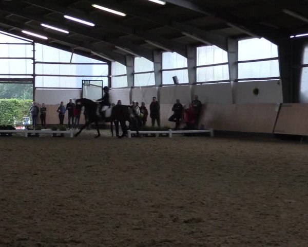 Reitturnier Datteln 2019