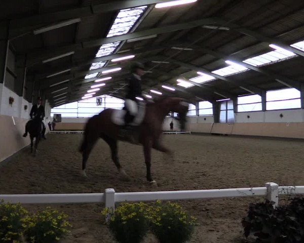 Reitturnier Datteln 2019