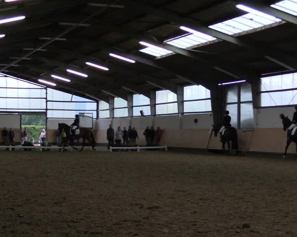 Reitturnier Datteln 2019