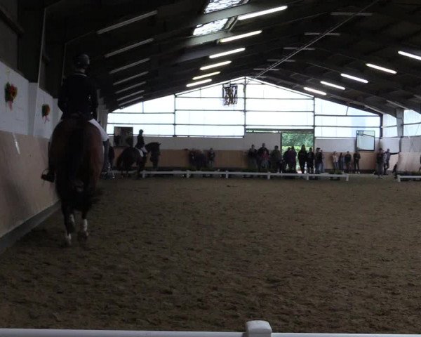 Reitturnier Datteln 2019