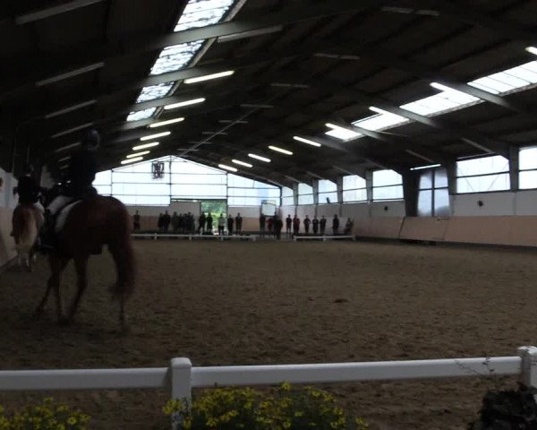 Reitturnier Datteln 2019