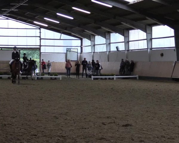 Reitturnier Datteln 2019