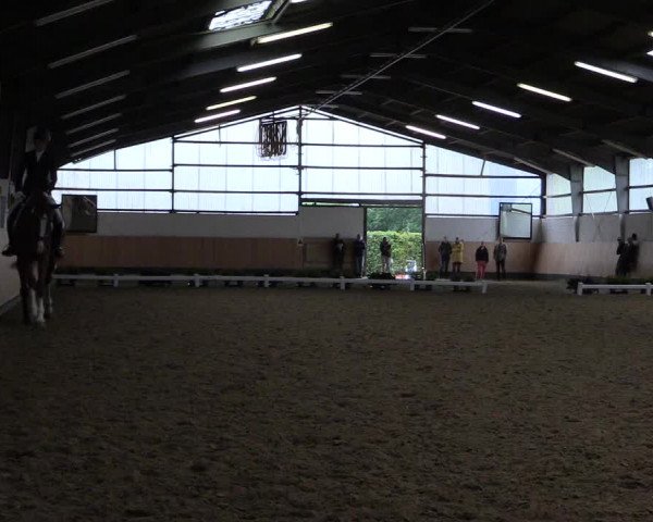 Reitturnier Datteln 2019