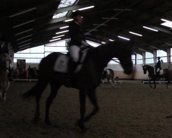 Reitturnier Datteln 2019