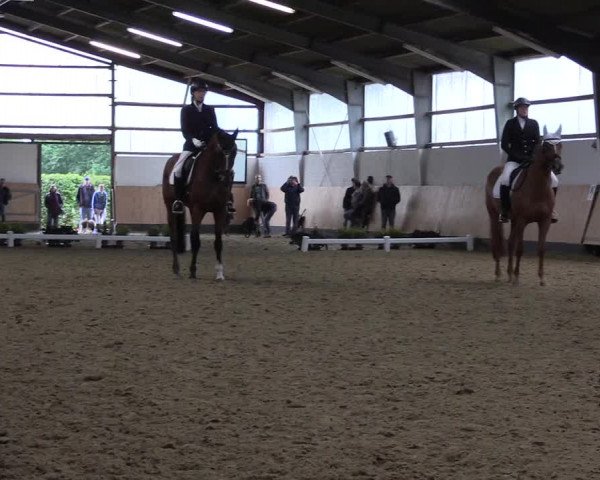 Reitturnier Datteln 2019