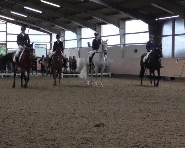 Reitturnier Datteln 2019