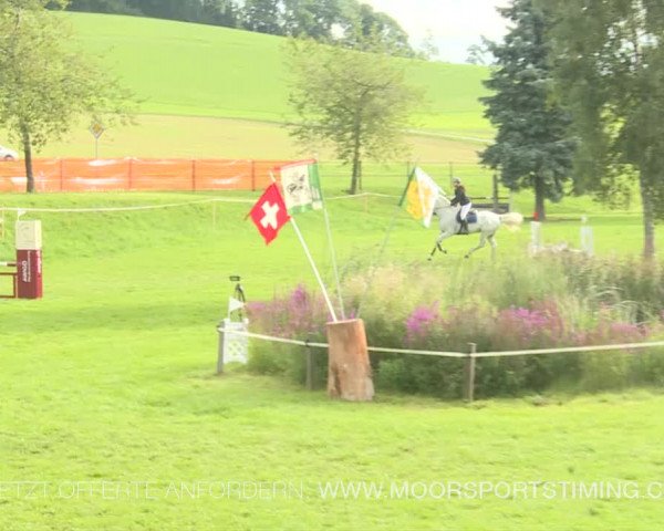 Reitturnier Aadorf 2019