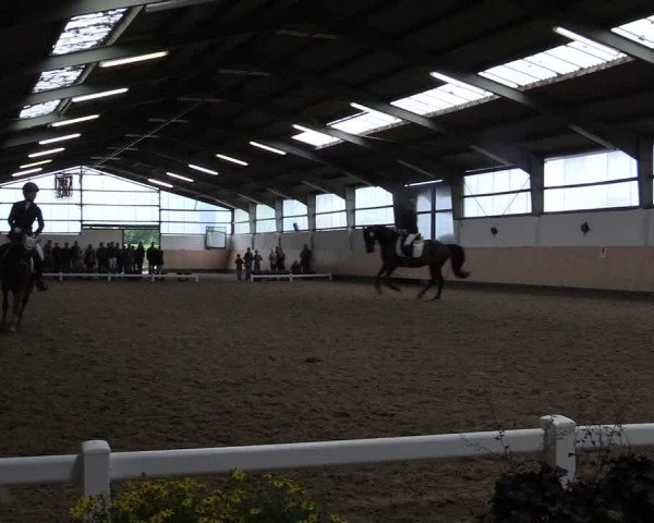 Reitturnier Datteln 2019