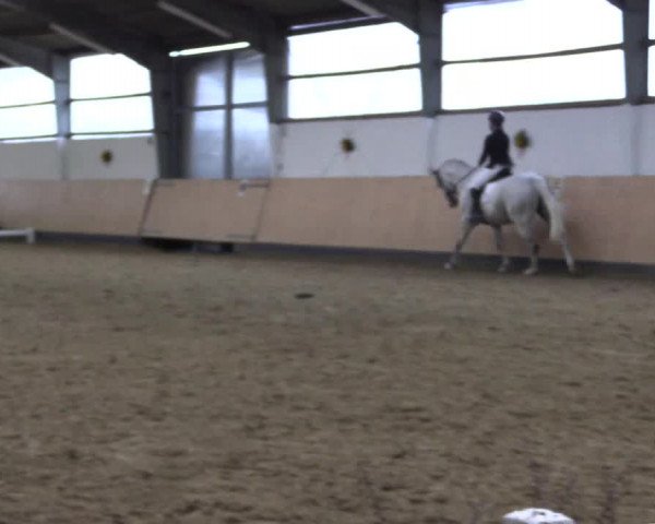 Reitturnier Datteln 2019
