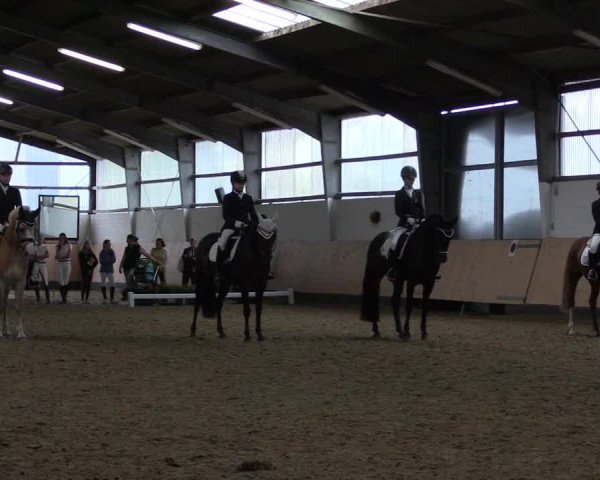 Reitturnier Datteln 2019