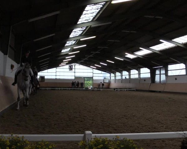 Reitturnier Datteln 2019