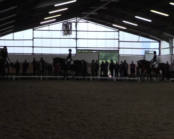 Reitturnier Datteln 2019