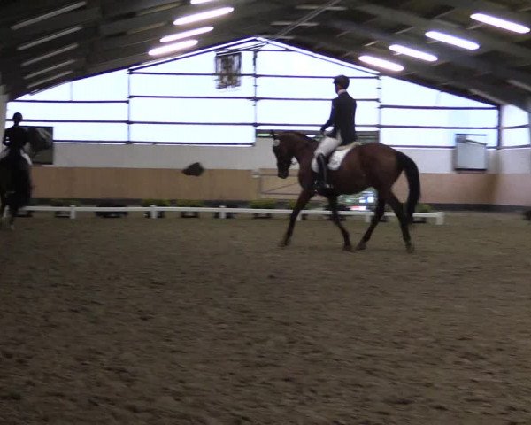 Reitturnier Datteln 2019