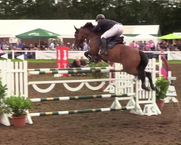 Reitturnier Langstedt-Bollingstedt 2019