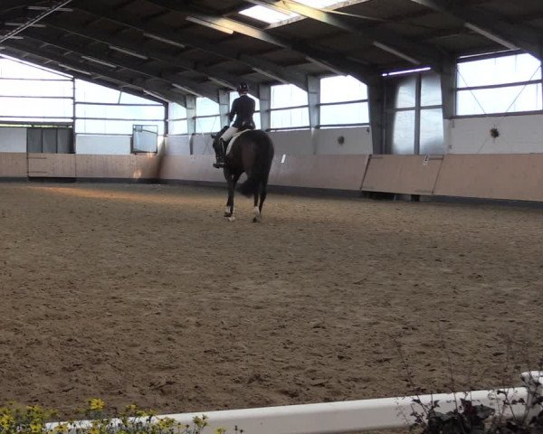 Reitturnier Datteln 2019