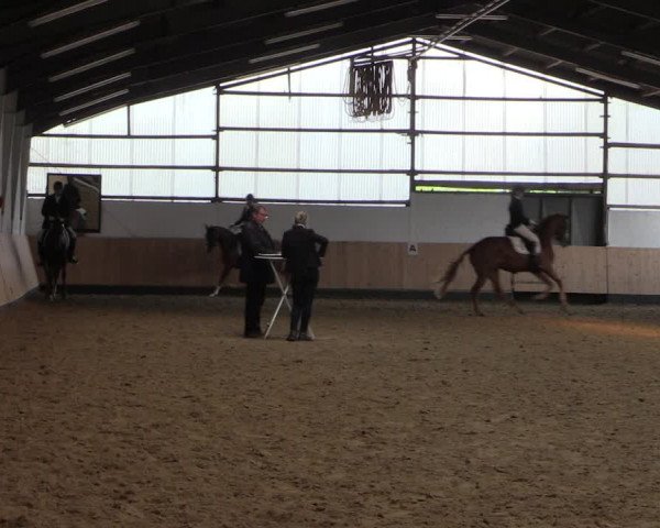 Reitturnier Datteln 2019