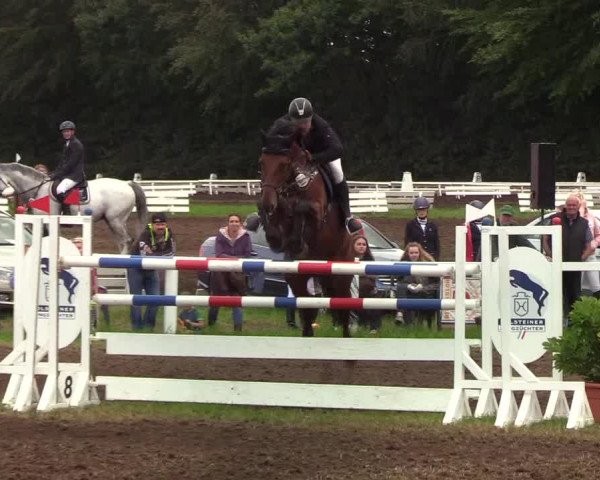 Reitturnier Langstedt-Bollingstedt 2019
